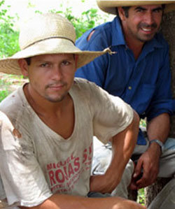 En la imagen de  archivo, campesinos paraguayos 